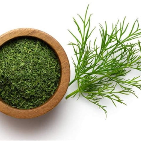 خرید و قیمت شوید خشک بسته بندی + فروش صادراتی